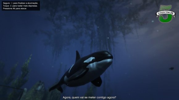 Baleia Orca GTA 5