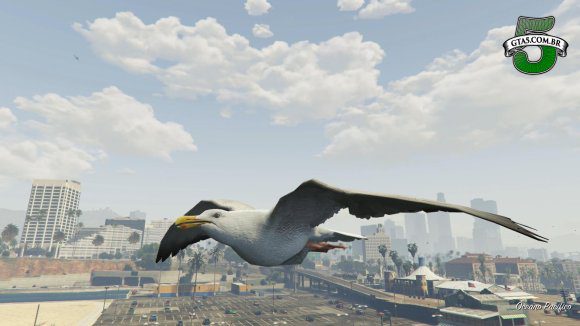 Gaivota GTA 5