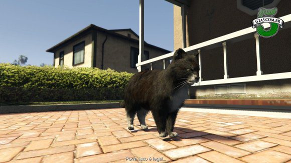 Gato GTA 5