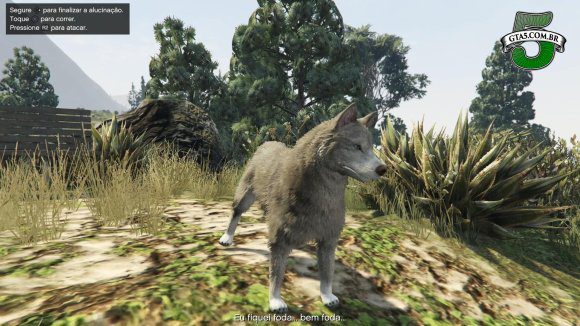 Husky GTA 5