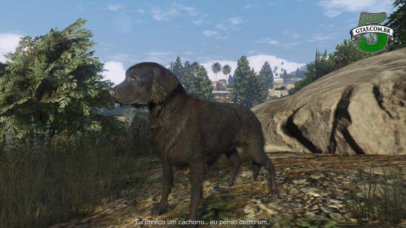 Labrador GTA 5