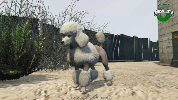 Poodle GTA 5