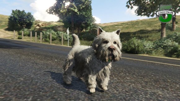 West Highland Terrier GTA 5